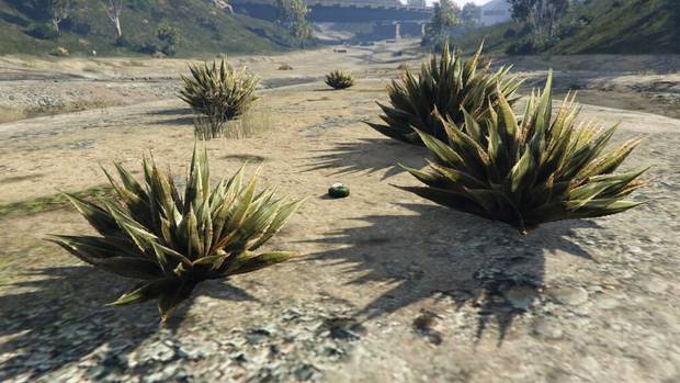 GTA Online - Planta de peyote #28