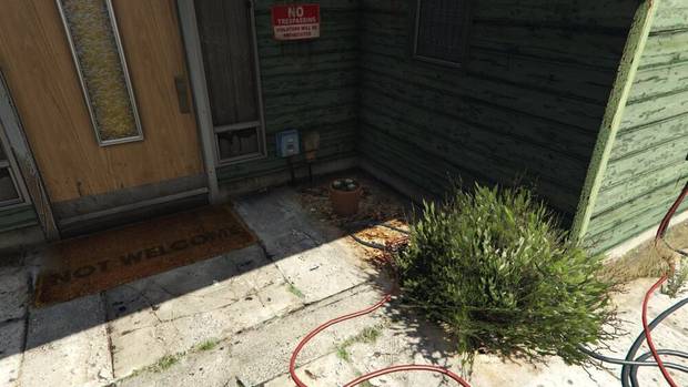 GTA Online - Planta de peyote #09