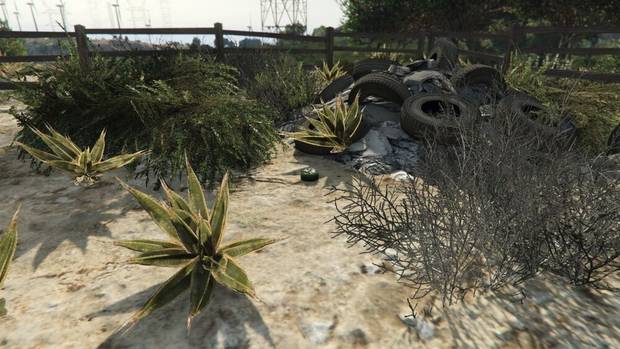 GTA Online - Planta de peyote #44