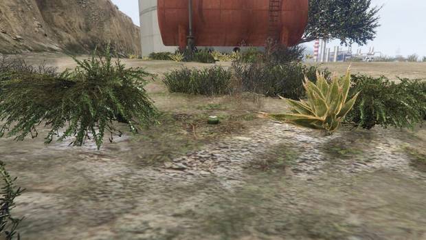 GTA Online - Planta de peyote #32