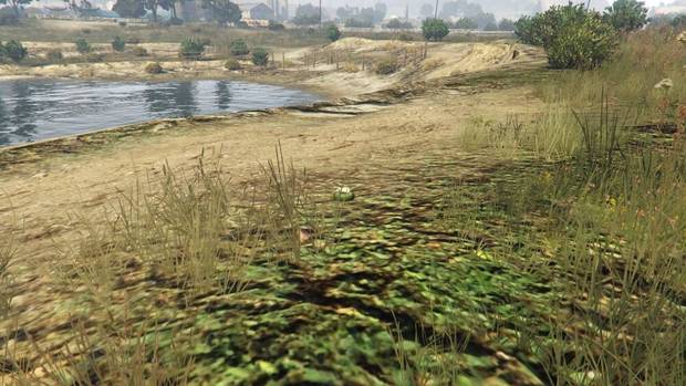 GTA Online - Planta de peyote #50