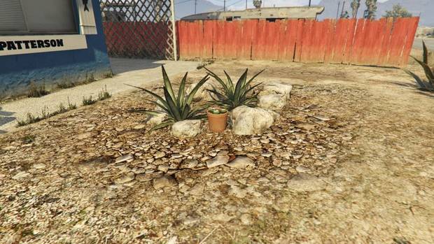 GTA Online - Planta de peyote #52