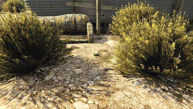 GTA Online - Planta de peyote #53
