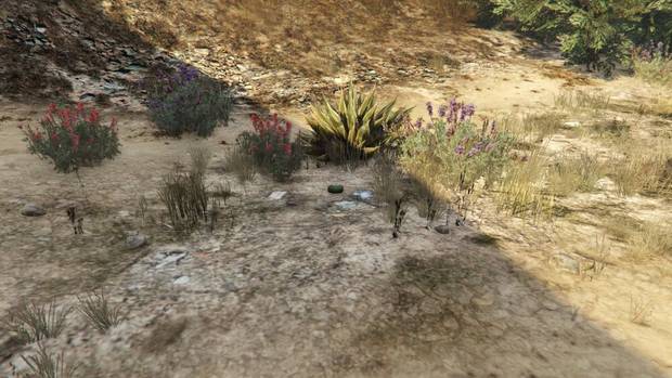 GTA Online - Planta de peyote #54