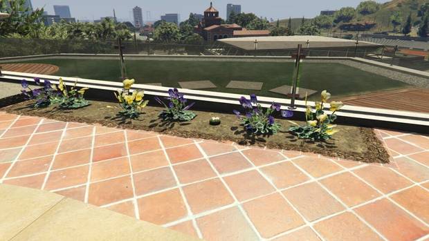 GTA Online - Planta de peyote #37