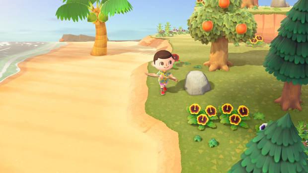 Animal Crossing: New Horizons - Todas las islas desiertas - Isla normal