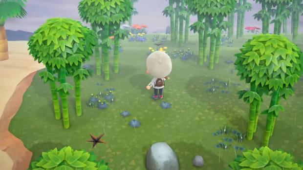 Animal Crossing: New Horizons - Todas las islas desiertas - Isla de bambú