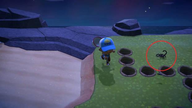 Animal Crossing: New Horizons - Métodos efectivos para cazar escorpiones