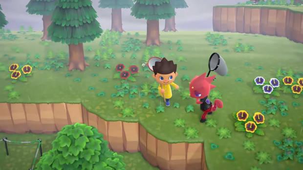 ¿Cuándo visita Kamilo nuestra isla en Animal Crossing: New Horizons?