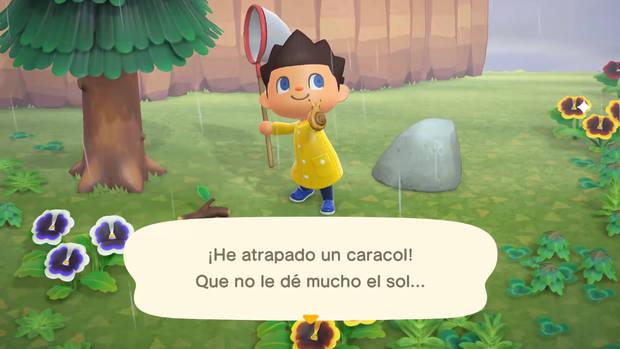 Vender bichos a Kamilo a muy buen precio en Animal Crossing: New Horizons