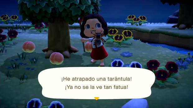 Animal Crossing: New Horizons - La mejor forma de vender tarántulas