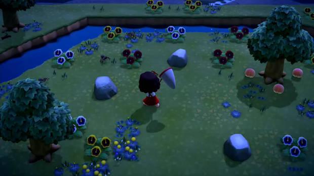 Animal Crossing: New Horizons - ¿Cómo viajar a la isla de las tarántulas?