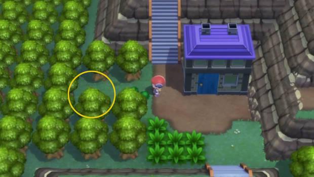 Pokémon Diamante Brillante y Pokémon Perla Reluciente - Dónde conseguir el Incienso suave