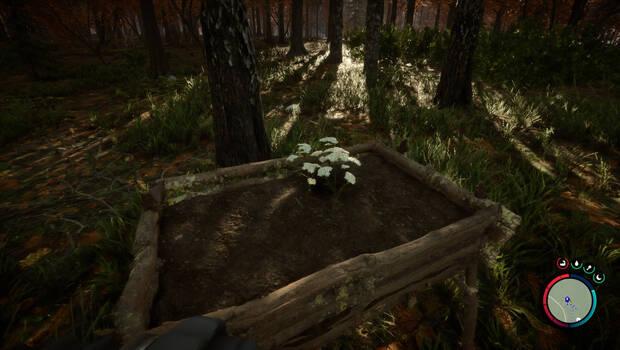Sons of the Forest - Crecimiento de semillas en un macetero