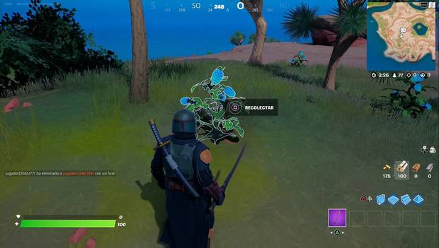 Fortnite Battle Royale - Bayas klombo
