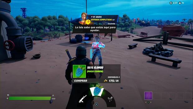 Fortnite Battle Royale - Bayas klombo de Haven