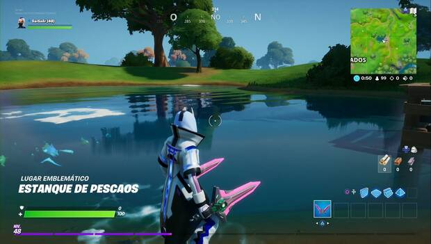Fortnite battle Royale - Estanque de Pescaos
