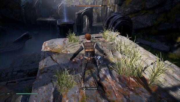 Star Wars Jedi Fallen Order - Semillas del terrario: Valinúfar (2)
