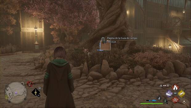Hogwarts Legacy - Páginas de la Guía de campo de El anexo de la biblioteca: Árbol del invernadero