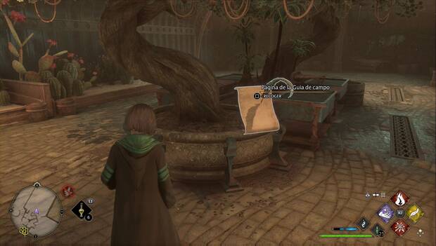 Hogwarts Legacy - Páginas de la Guía de campo de El anexo de la biblioteca: Ciruelas dirigibles