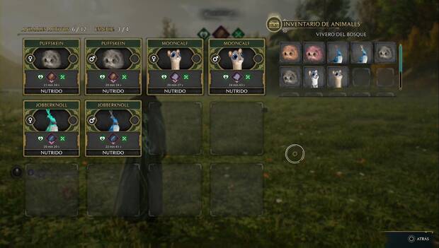 Hogwarts Legacy - Animales mágicos: menú de gestión de animales