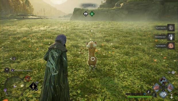 Hogwarts Legacy - Animales mágicos: animal cepillado y cuidado