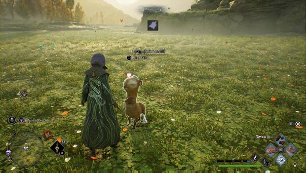 Hogwarts Legacy - Animales mágicos: animal dejando objetos