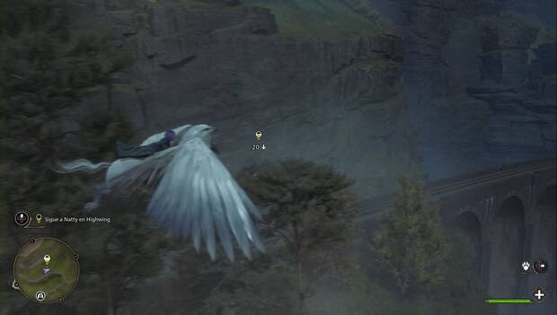 Hogwarts Legacy - El protagonista monta en hipogrifo