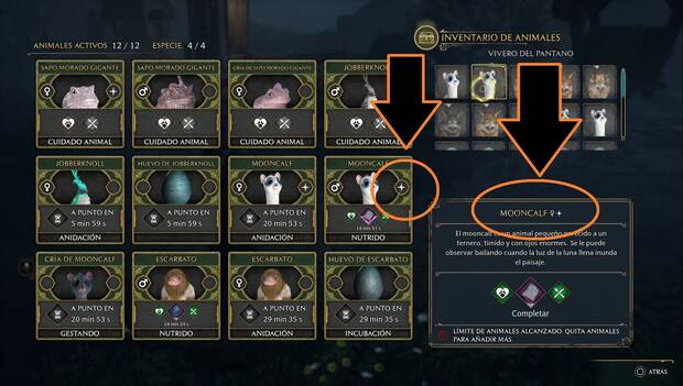 Hogwarts Legacy - Animales mágicos: animal shiny