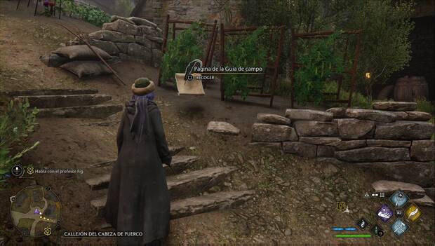 Hogwarts Legacy - Páginas de la guía de campo en Hogsmeade: Jardín comunitario de Hogsmeade