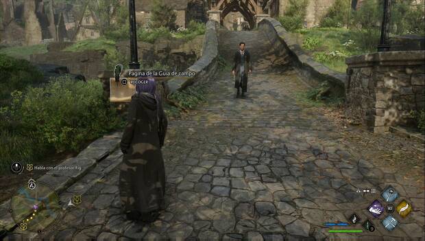 Hogwarts Legacy - Páginas de la guía de campo en Hogsmeade: Hogsmeade