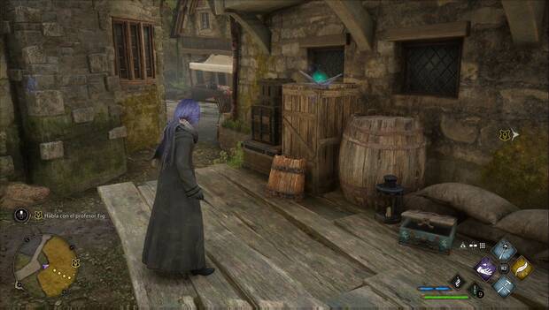 Hogwarts Legacy - Páginas de la guía de campo en Hogsmeade: polilla 1 en el embarcadero