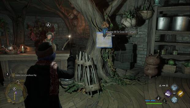 Hogwarts Legacy - Páginas de la Guía de campo en Hogsmeade: El árbol de Timofila y Canaleja