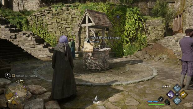 Hogwarts Legacy - Páginas de la Guía de campo en Hogsmeade: Pozo de agua