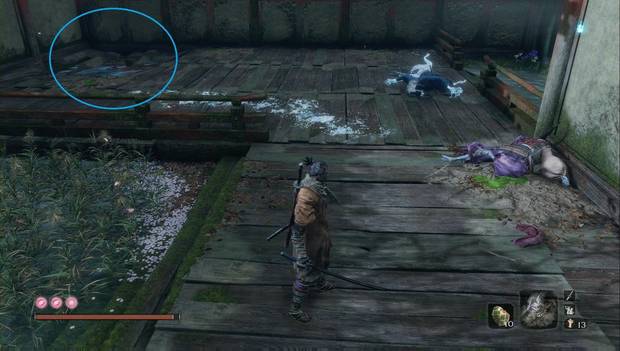 Sekiro - palacio del manantial: charca por la que puedes bucear hasta una sala secreta