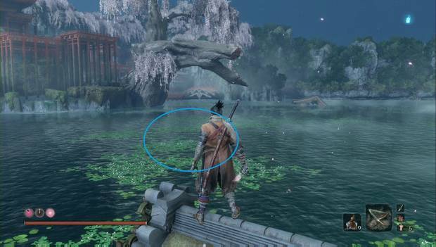 Sekiro: Shadows Die Twice - Decapitados del Palacio del Manantial: ubicación dentro de la poza