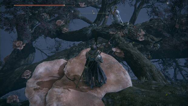Elden Ring - Árbol Hierático de Miquella, rama al este para bajar