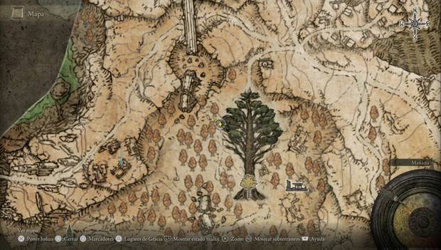 Elden Ring - Meseta Altus, ubicación de Semilla dorada