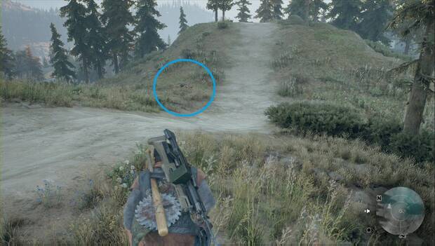 Days Gone - No me queda otra: cuerpo a examinar en la zona de búsqueda