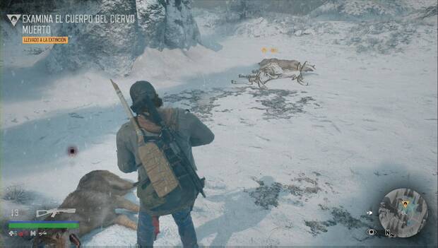 Days Gone - Llevado a la extinción: ciervo muerto que debemos examinar
