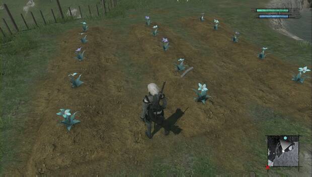 Nier Replicant - Cultivar flores: flores añiles