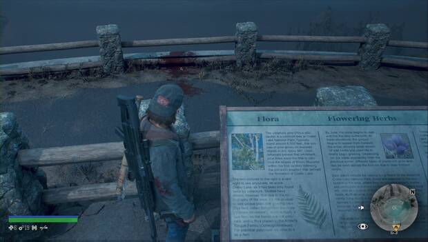 Days Gone - Tienes al tipo equivocado: mancha de sangre en la barandilla