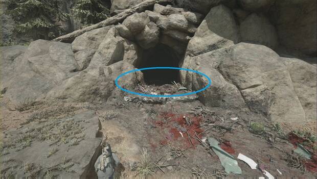 Days Gone - Horda de Bear Creek: entrada de la cueva