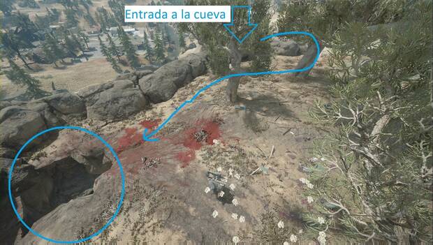 Days Gone - Horda de Marion Forks: agujero en el techo de la cueva