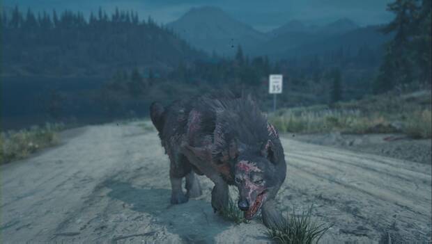 Days Gone - Corredor