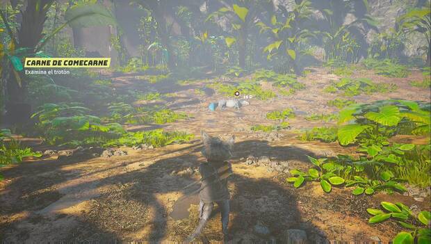 Biomutant: Prólogo - Trotón muerto