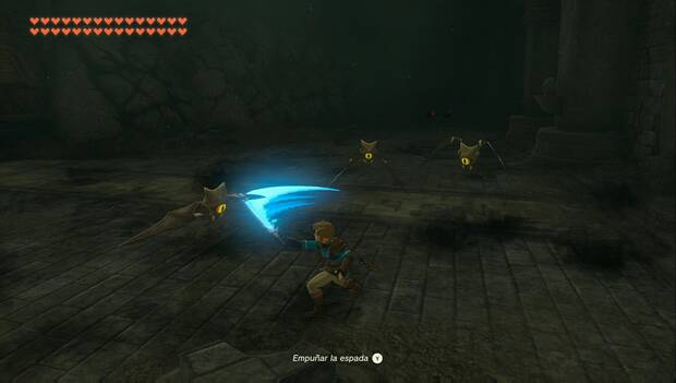 Zelda Tears of the Kingdom - En busca de Zelda: Link derrota a un grupo de murciélagos