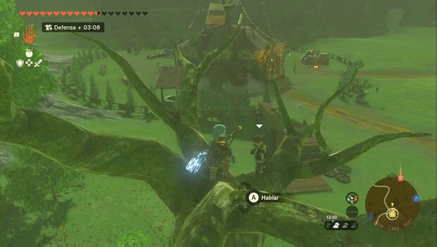 The Legend of Zelda: Tears of the Kingdom - Flauryn