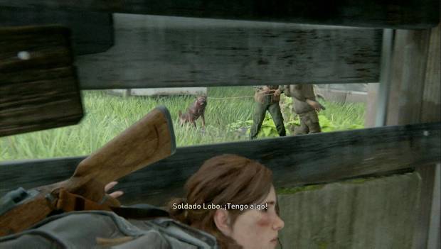 The Last of Us Parte 2 - Hillcrest: los Lobos usan perros para buscar a Ellie
