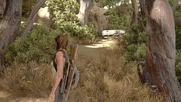 The Last of Us Parte II - Tierra adentro: camino para salir de la playa